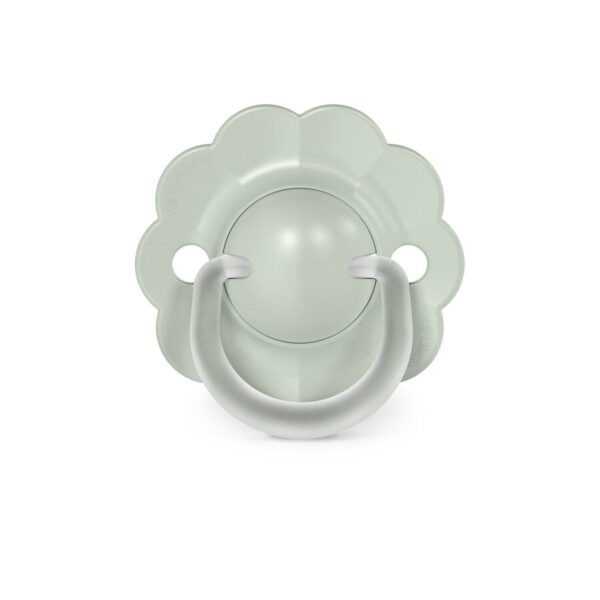 Chupete Suavinex Wonderland Redondo SX Pro Silicona 0-6 Meses (liso Verde)